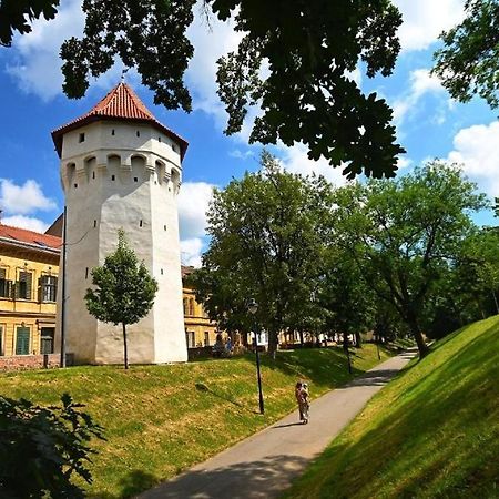 Апартаменты Casa Panzarului Сибиу Экстерьер фото